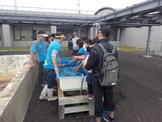 タッチ水槽で魚に触れる子供たち